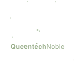 queentechnoble.info favicon